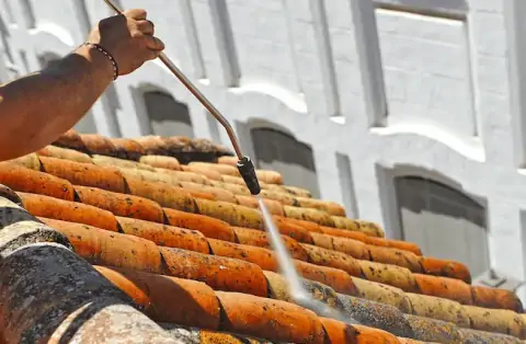 Nettoyage de toitures - Parigny